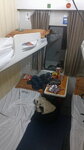 pic_099167.jpg