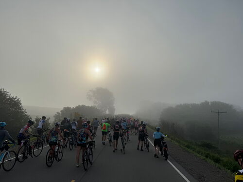 Morning fog fed by cornfields.
