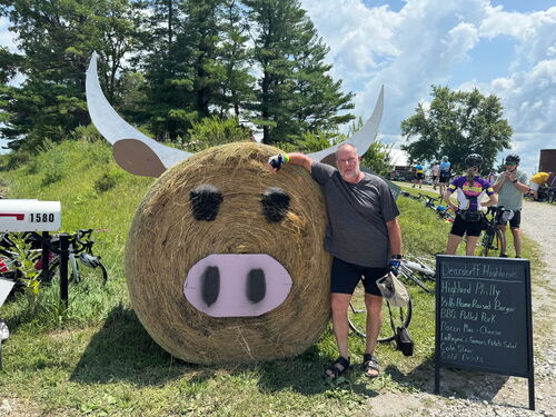 A Highland Coo!