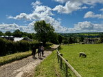 pic_098767.jpg