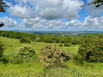 pic_098768.jpg