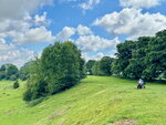 pic_098769.jpg