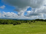 pic_098770.jpg