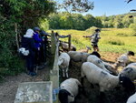 pic_098788.jpg