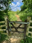 pic_098793.jpg