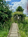 pic_098796.jpg