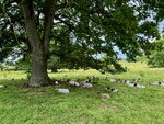 pic_098797.jpg