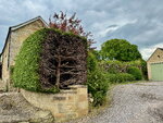 pic_098800.jpg