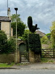 pic_098801.jpg