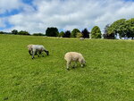 pic_098806.jpg
