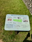 pic_098809.jpg
