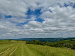 pic_098813.jpg