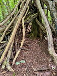 pic_098825.jpg