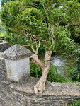 pic_098851.jpg