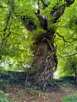 pic_098852.jpg