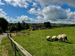 Cotswolds