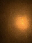 pic_099004.jpg