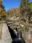 pic_098992.jpg