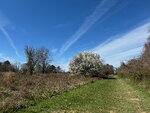 pic_098780.jpg