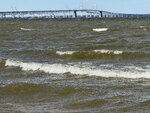 pic_098782.jpg
