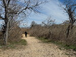 pic_098784.jpg
