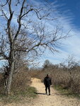 pic_098785.jpg