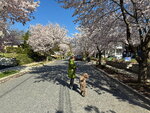 pic_098997.jpg