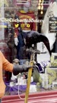 mov_IMG_2094.mov