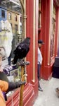 mov_IMG_2098.mov