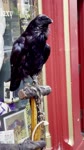 mov_IMG_2099.mov