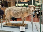 pic_098879.jpg
