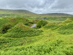pic_098894.jpg