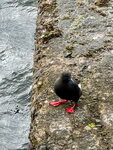 pic_098969.jpg