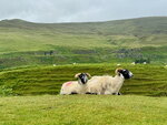 pic_098971.jpg