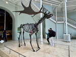 pic_098980.jpg