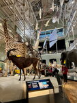 pic_098981.jpg