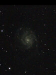 Seestar