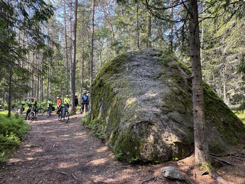 Riding through the forest paths