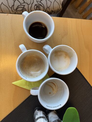 Amy's search for the perfect cup