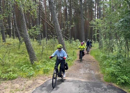 Through the woods