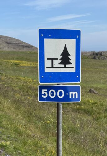 The tree is a lie!