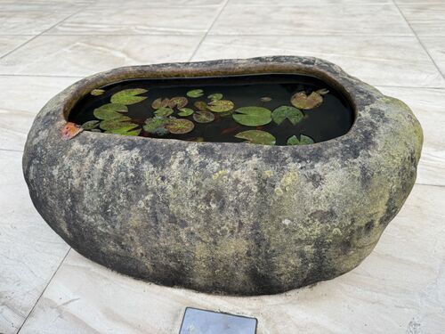 The walk to the hotel is lined with these beautiful mini ponds