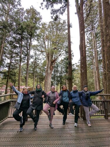 Female power in front of the Thousand Year Cypress