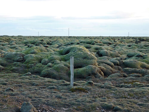 Bubbly volcanic rocks covered in moss.
