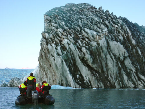 One of the many floating bergs.