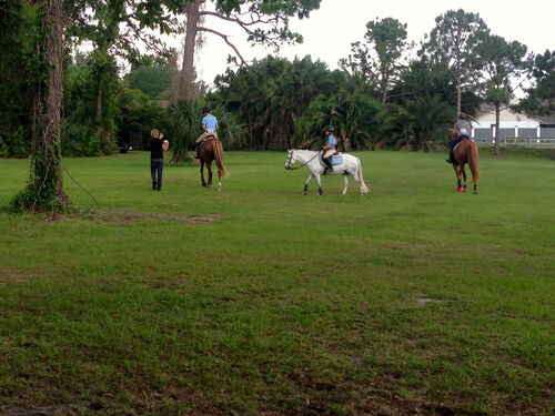Riding competition in local park, just before the deluge.