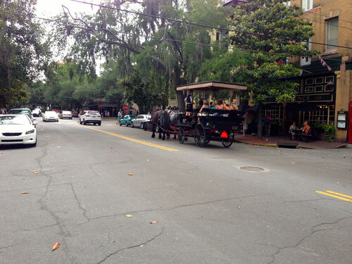 Savannah