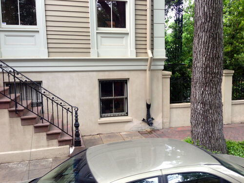 Savannah
