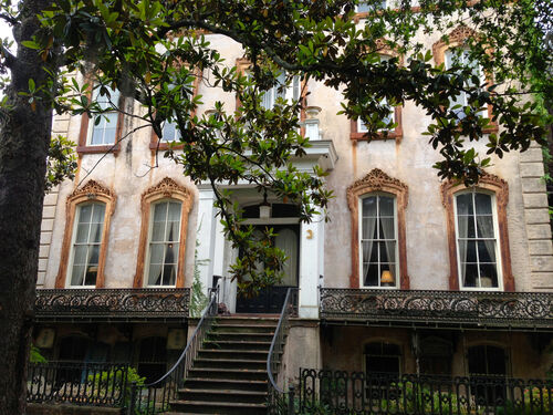 Savannah