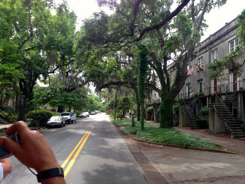 Savannah